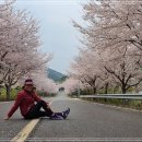섬진강자전거길4 Daum카페