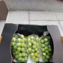 녹원농장 이미지