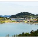 청산도 Daum카페