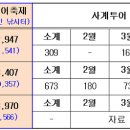 GOGO여행사 이미지