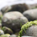 주전어촌체험마을 이미지