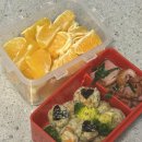 옥스포드어린이집 | 어린이집 유치원 소풍도시락 옥스포드 블럭 런치박스 장단점 도시락밴드필수! 내돈내산