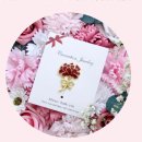 SJ 인터내셔날 이미지