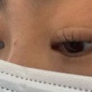 메이뷰티(Mei beauty) 네이버블로그