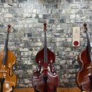 라스칼라 이미지