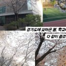 11월 이슈N트랜드_환경, 미래 | 2025년에도 여전히, 오로지 집중하는 활동, 청소년 활동 현장을 취재했었습니다