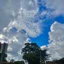 김란농장 | 체력거지의 운동 중독 근황