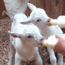 대굴령마을 이미지