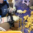 영주마트 이미지