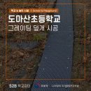 도마산초등학교 이미지