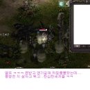 엘프 Daum카페