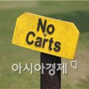 카트필
