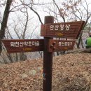 바위산약초