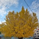 수양동주민센터.도서관 이미지