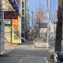 대전, 탄방동 치즈 꿀호떡 #내돈내산
