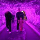 자수정동굴나라 이미지