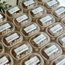 덤피(Dumpy) 이미지