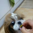 고기맘마 이미지