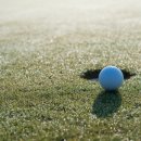 안산골프존 이미지