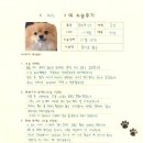 1279 | [#1279] 제리(양측 슬개골탈구 G3)의 수술후기
