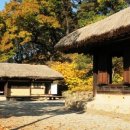 김유정사랑방 네이버블로그
