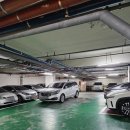 포동이 | 수원 망포동 초밥 맛집 추천 포동이네 포동이초밥 후기 가격 주차