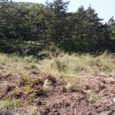 이가농장 이미지