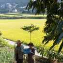 풍년산장 이미지