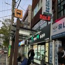 멍멍왕자야옹공주 - 8656 | 멍멍왕자야옹공주