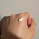 이엘티 이미지