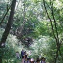 명화어린이집 이미지