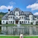 케이소노 이미지