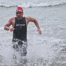 오르카수영 이미지