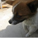 영림축산 이미지