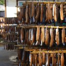 과메기일호식당 이미지