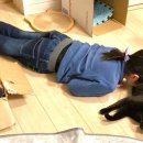 일진빌리지 이미지