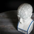 사주명리학과 생활역학 이미지