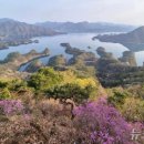 악어 봉과 유람선' 충주 봄나들이 장소로 충주 호 추천 이미지