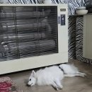 설화산펜션 이미지