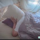 민고시텔