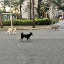 중부카페