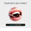 하얀나무치과의원 이미지