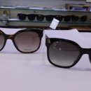 21세기안경원 이미지