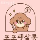 포포펫살롱 이미지