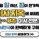 내집&이사천국