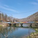 경남관광호텔오락실 | 부곡온천 1박 2일 여행코스/ 벚꽃 명소 만년교 + 가고파 호텔 후기 및 관룡사 관광