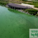 금강항공