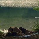 은영목장 이미지