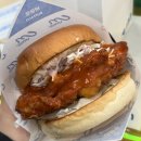 인생치킨 | 세종 나성동 햄버거 맛집 움버거앤윙스에서 찾은 인생 치킨버거 솔직 후기🍔