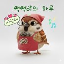 키네마스터를 이용한 동영상 만들기 | Grok Ai 사용후기